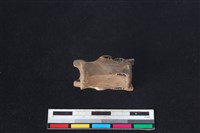 獐骨藏品圖，第1張