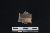 獐骨藏品圖，第1張