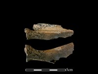 山羌骨藏品圖，第1張