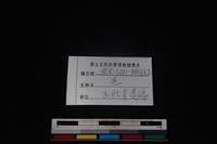 山羌骨藏品圖，第3張