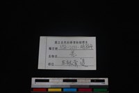 山羌骨藏品圖，第3張