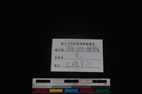 山羌骨藏品圖，第3張