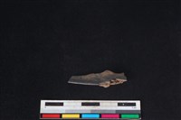 山羌骨藏品圖，第1張