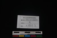 山羌骨藏品圖，第3張