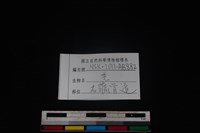 山羌骨藏品圖，第3張