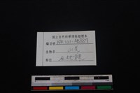 山羌骨藏品圖，第4張