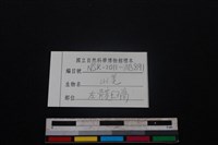 山羌骨藏品圖，第3張