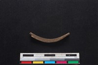 山羌骨藏品圖，第1張