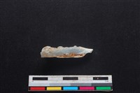 山羌骨藏品圖，第1張