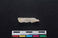 山羌骨藏品圖，第2張