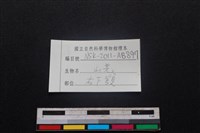 山羌骨藏品圖，第4張