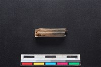 鹿科骨藏品圖，第2張