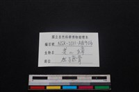 鹿科骨藏品圖，第3張