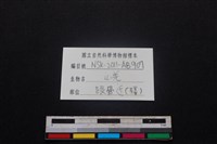 山羌骨藏品圖，第3張