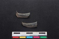 鹿科骨藏品圖，第1張