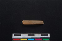 山羌骨藏品圖，第1張