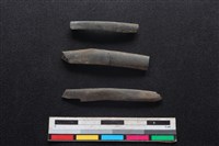 鹿科骨藏品圖，第1張