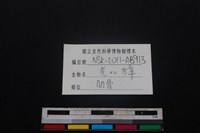鹿科骨藏品圖，第3張