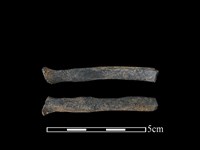 狗獾骨藏品圖，第1張