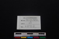獐骨藏品圖，第3張