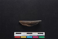 獐骨藏品圖，第2張