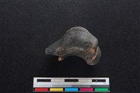 山羌骨藏品圖，第1張