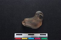 山羌骨藏品圖，第2張