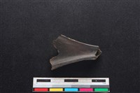 山羌骨藏品圖，第1張