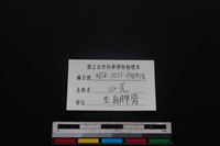 山羌骨藏品圖，第3張