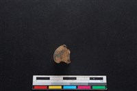 鹿科骨藏品圖，第1張