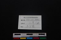 山羌骨藏品圖，第4張