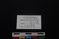 鹿科骨藏品圖，第4張