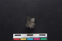 山羌骨藏品圖，第2張