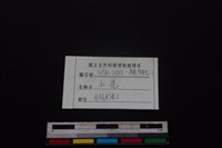 山羌骨藏品圖，第5張