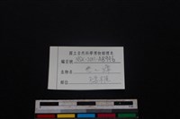 鹿科骨藏品圖，第3張