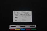 鹿科骨藏品圖，第3張