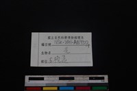 山羌骨藏品圖，第3張