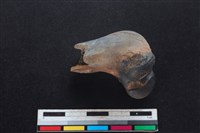 山羌骨藏品圖，第1張