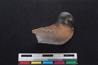 山羌骨藏品圖，第2張