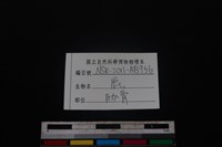 梅花鹿骨藏品圖，第3張