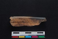 梅花鹿骨藏品圖，第1張