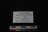 梅花鹿骨藏品圖，第3張