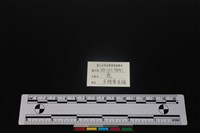 梅花鹿骨藏品圖，第3張