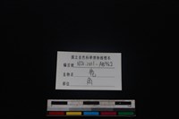 梅花鹿骨藏品圖，第3張