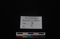 梅花鹿骨藏品圖，第3張
