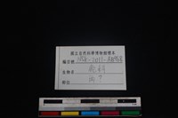 鹿科骨藏品圖，第3張