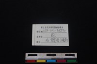 梅花鹿骨藏品圖，第3張