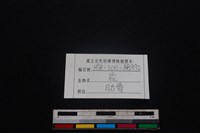 梅花鹿骨藏品圖，第3張