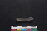 梅花鹿骨藏品圖，第1張