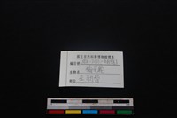 梅花鹿骨藏品圖，第3張